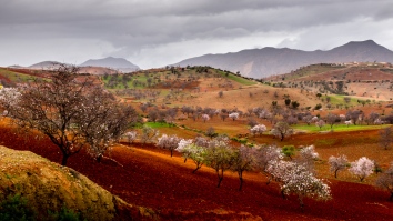 Countryside Morocco